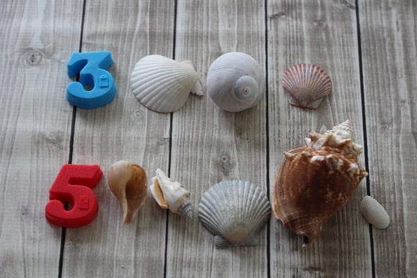 shell count