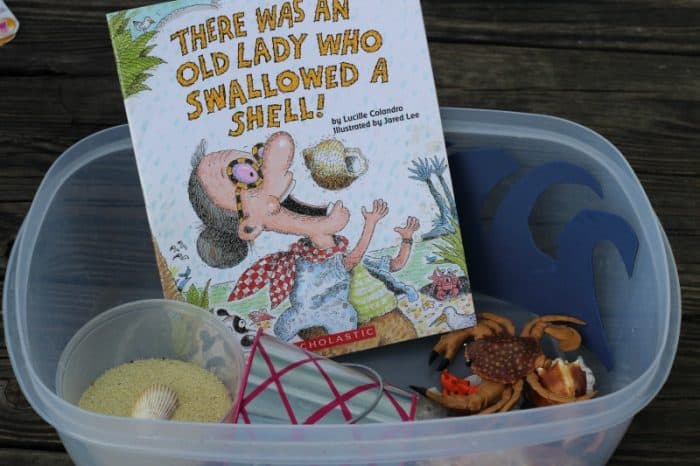 There Was an Old Lady Who Swallowed a Shell book activities