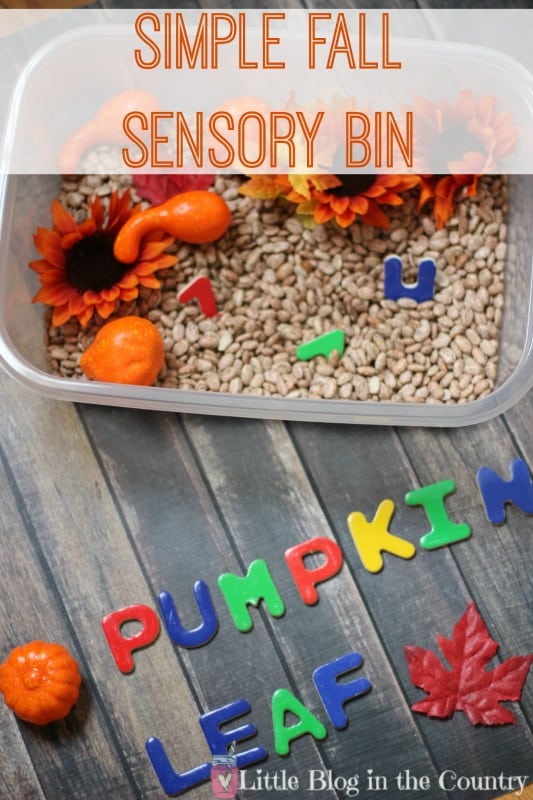 fall-sensory-bin