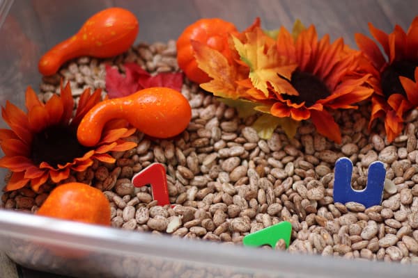 simple-fall-sensory-bin-letters