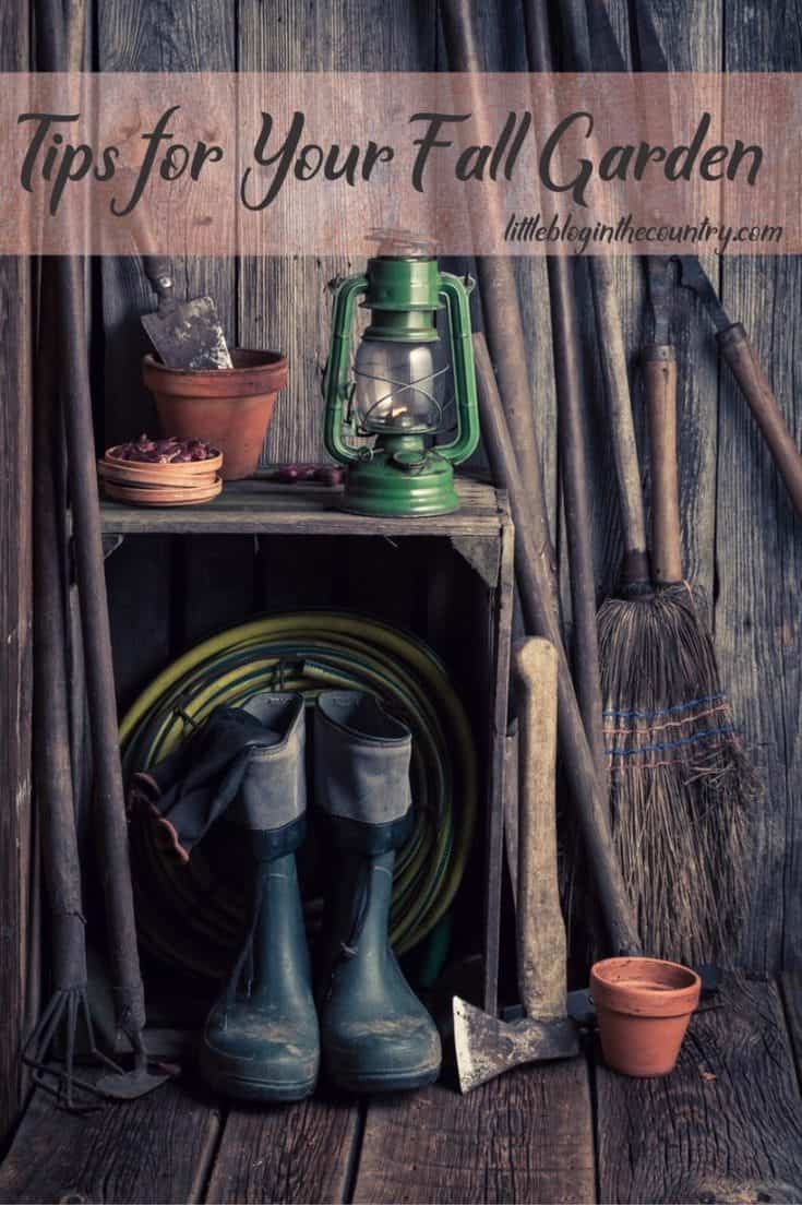 Tips for Your Fall Garden Simple in the Country