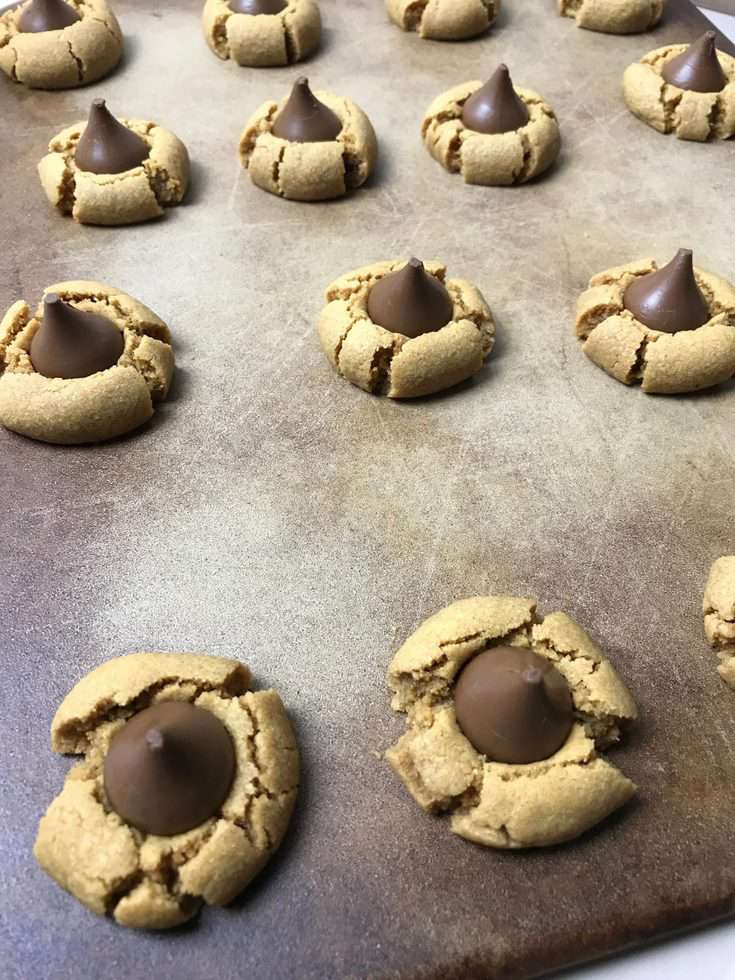 homemade flourless cookies on a cookie sheet